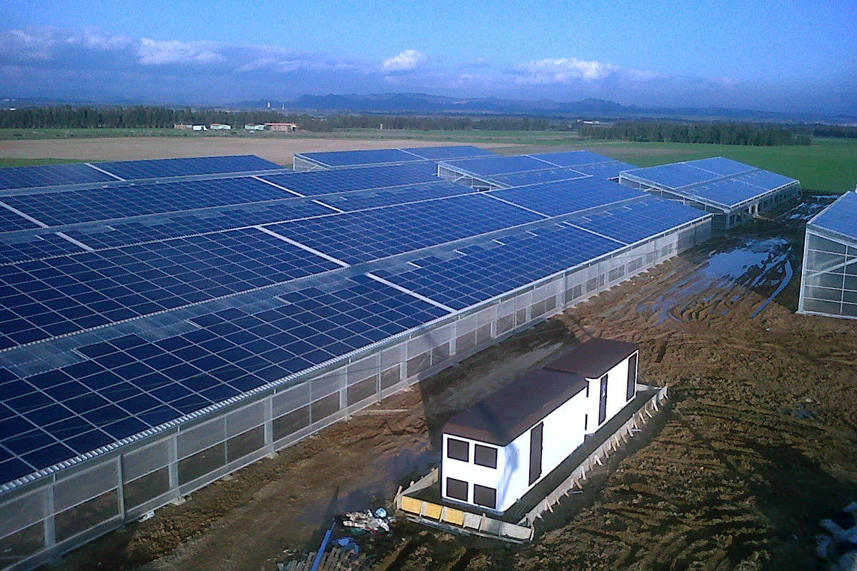 壽光欣欣農業 光伏大棚技術服務，引領現代農業綠色轉型