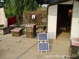北京光聚能源科技 引領(lǐng)太陽能發(fā)電技術(shù)服務(wù)的創(chuàng)新實踐